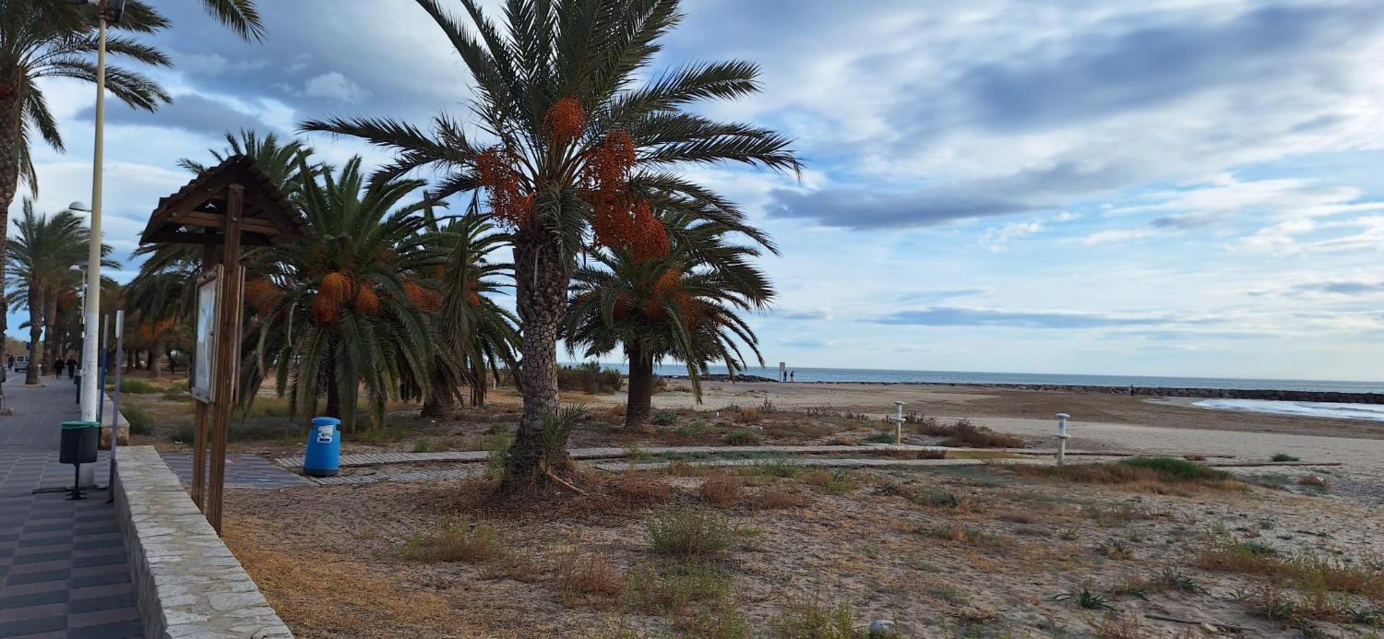 Apartament Vacaciones En El Mar Sagunto Zewnętrze zdjęcie